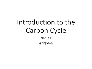 The Carbon Cycle: Reservoirs, Dynamics, and Importance