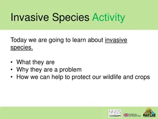 Understanding Invasive Species: Threats and Solutions