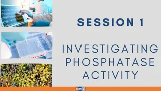 Role of Phosphatase Enzymes in Metabolic Reactions