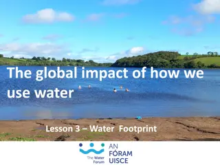 Water Footprints: Impact and Awareness