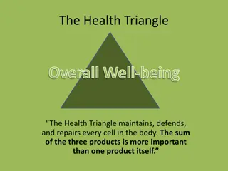 The Health Triangle for Overall Well-being