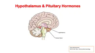 Hypothalamus and Pituitary Hormones in Clinical Pharmacology