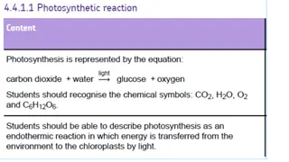 Photosynthesis and Limiting Factors