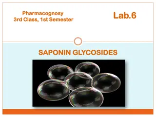 Saponin Glycosides in Pharmacognosy: Properties and Applications