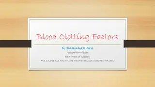 Blood Clotting Factors in the Human Body