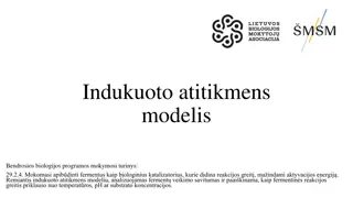 Enzyme Function Through Induced Fit Model