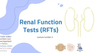 Renal Function Tests: Lecture Insights on Kidney Function and Structure