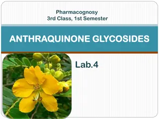 Anthraquinone Glycosides: Pharmacognosy Insights