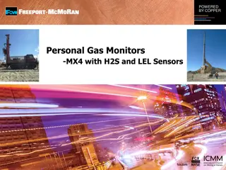 LEL Monitors and Gas Safety in Industrial Settings