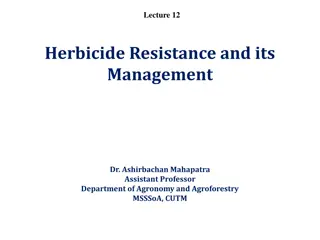 Understanding Herbicide Resistance and Management