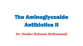 Aminoglycoside Antibiotics and Dosing Strategies