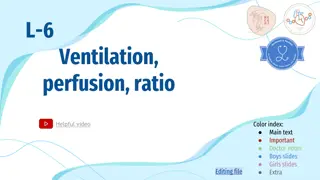 Pulmonary Circulation and V/Q Ratio in Respiratory Physiology