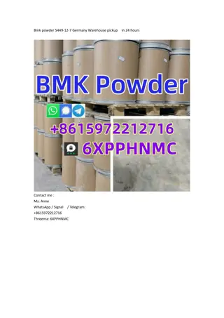 Bmk powder 5449-12-7 Germany Warehouse pickup  in 24 hours