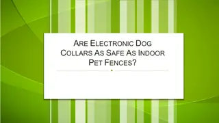 Are Electronic Dog Collars As Safe As Indoor Pet Fences