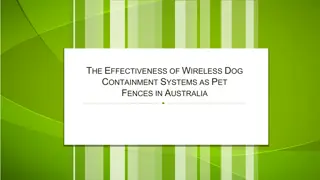 The Effectiveness of Wireless Dog Containment Systems as Pet Fences in Australia