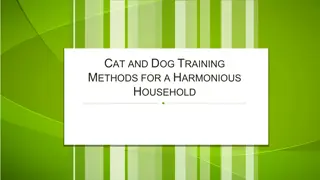 Cat and Dog Training Methods for a Harmonious Household