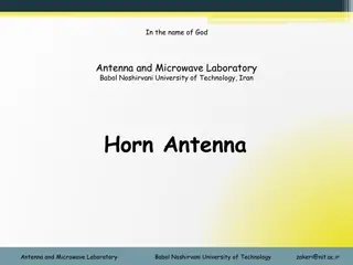 Horn Antennas in Microwave Technology