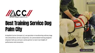 Best-Training-Service-Dog-Palm-City