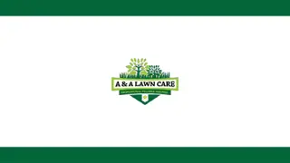 Lawn Care and Pest Control In New Braunfels Areas - A&A Lawncare
