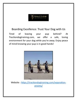 Boarding Excellence: Trust Your Dog with Us