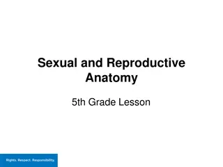 Sexual and Reproductive Anatomy in 5th Grade Lesson