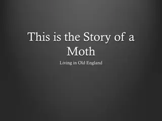 This is the Story of a Moth