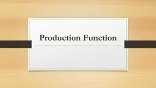 The Production Function in Economics