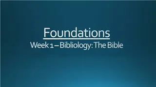 Foundations of the Bible: An Overview
