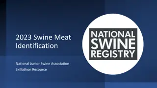 Comprehensive Guide to Swine Meat Identification and Cuts