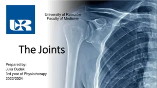 Understanding Joints and Their Classification in the Human Body