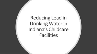 The Impact of Lead Contamination on Human Health and Ecosystems