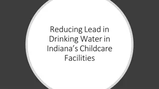 Understanding the Impact of Lead Contamination on Human Health and Ecosystems
