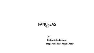 Comprehensive Overview of Pancreas Function and Structure
