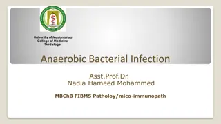 Anaerobic Bacterial Infections: Overview and Clinical Implications