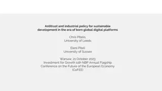 Sustainable Development and Industrial Policy in the Era of Digital Platforms