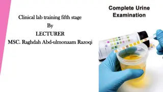 Urinalysis: Importance and Interpretation