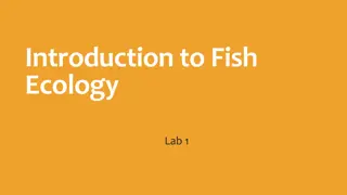 Understanding Fish Ecology: Interactions, Diversity, and Environmental Factors