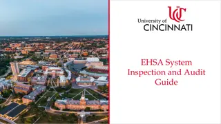 EHSA System Inspection and Audit Guide