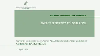 Sustainable Energy Initiatives at Local Level in Lithuania