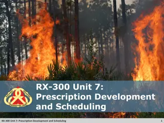 Prescription Development and Scheduling in Wildfire Management