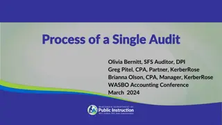 Single Audit Process for Federal Grants