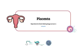 Understanding the Placenta: Structure and Function