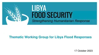 Thematic Working Group for Libya Flood Responses - Updates and Coordination Efforts