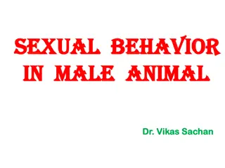 Insights into Male Animal Sexual Behavior and Mating Patterns