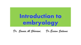 Embryology: From Conception to Critical Periods