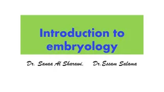 Understanding Embryology: From Conception to Critical Periods