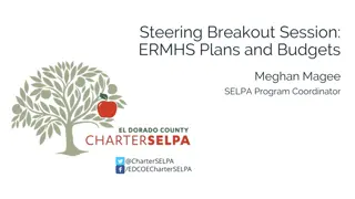Understanding ERMHS Programs and Funding