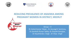 Addressing Anemia Among Pregnant Women in Meerut District
