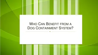 Who Can Benefit from a Dog Containment System