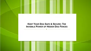 Keep Your Dog Safe & Secure The Invisible Power of Hidden Dog Fences